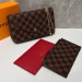 Сумка Louis Vuitton Felicie RP5925