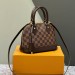 Сумка Louis Vuitton Alma BB RE4893