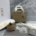 Сумка Christian Dior Lady Dior RR5903