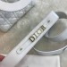 Сумка Christian Dior Lady RB4999