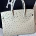 Сумка Hermes Birkin 30 RB6831