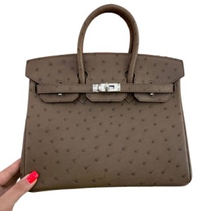 Сумка Hermes Birkin 25 RB6777