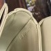 Сумка Celine Mini Besace Clea RE6564