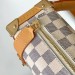 Сумка Louis Vuitton Side Trunk MM RR6432