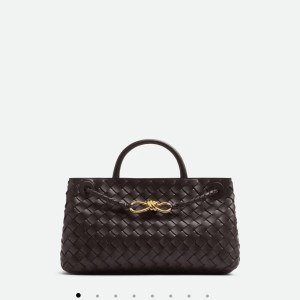 Сумка Bottega Veneta  East West Andiamo RN1199