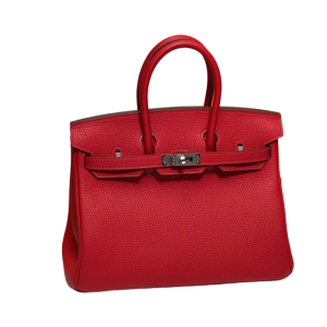 Сумка Hermes Birkin 25 RN1405
