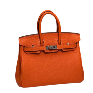 Сумка Hermes Birkin 25 RN1406