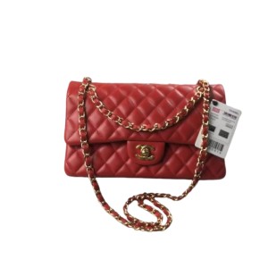 Сумка Chanel Flap Bag 25 RN1828