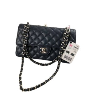 Сумка Chanel Flap Bag 25 RN1833