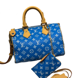 Cумка Louis Vuitton Speedy 30 RN2214
