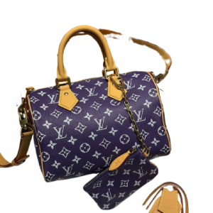 Cумка Louis Vuitton Speedy 30 RN2213