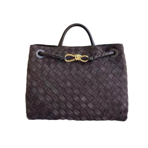 Сумка Bottega Veneta Medium Andiamo RN2709