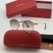 Солнцезащитные очки Cartier A2317