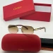 Солнцезащитные очки Cartier A2118