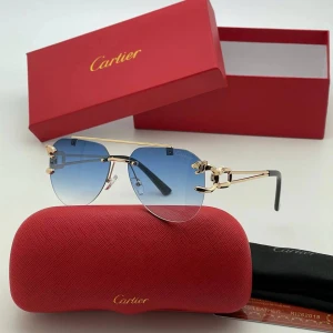 Очки Cartier A3416