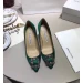 Туфли Manolo Blahnik Hangisi F1151