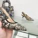 Туфли Christian Dior F1384