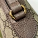 Сумка Gucci Ophidia GG K1197