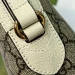 Сумка Gucci Ophidia GG K1198