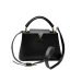 Сумка Louis Vuitton Capucines R2119