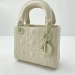 Сумка Christian Dior Lady D-Lite K2802