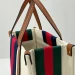 Сумка Gucci Canvas Web K2823