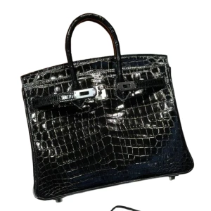 Сумка Hermes Birkin 25 NR1001