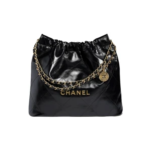 Сумка Chanel 22 R1071