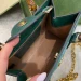 Сумка Gucci Diana R1181