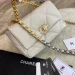 Сумка Chanel 19 Small R1292