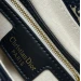 Сумка Christian Dior Saddle R1934