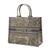 Сумка Christian Dior Book Tote R1963