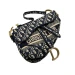 Сумка Christian Dior Saddle R1934