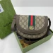 Сумка Gucci Ophidia GG R2985