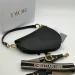 Сумка Christian Dior Saddle R3028