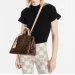 Сумка Louis Vuitton Petit Palais R2021