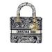 Сумка Christian Dior Lady D-Lite R2645