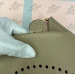 Сумка Hermes Evelyne R2219