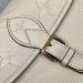 Сумка Louis Vuitton Diane R2884