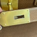 Дорожная сумка Hermes Birkin 50 R3288