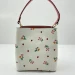 Сумка Coach Bucket Bag R3193