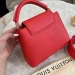 Сумка Louis Vuitton Capucines Mini R3296