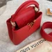 Сумка Louis Vuitton Capucines Mini R3296