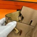 Сумка Hermes Birkin 25 R2194