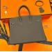 Сумка Hermes Birkin 25 R2195