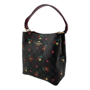 Сумка Coach Bucket Bag R3201