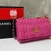 Сумка Chanel 19 RP4865