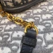 Сумка Christian Dior C'est Dior RE4952