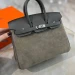 Сумка Hermes Birkin 25 RB5096