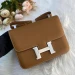 Сумка Hermes Constance 24 RB3952